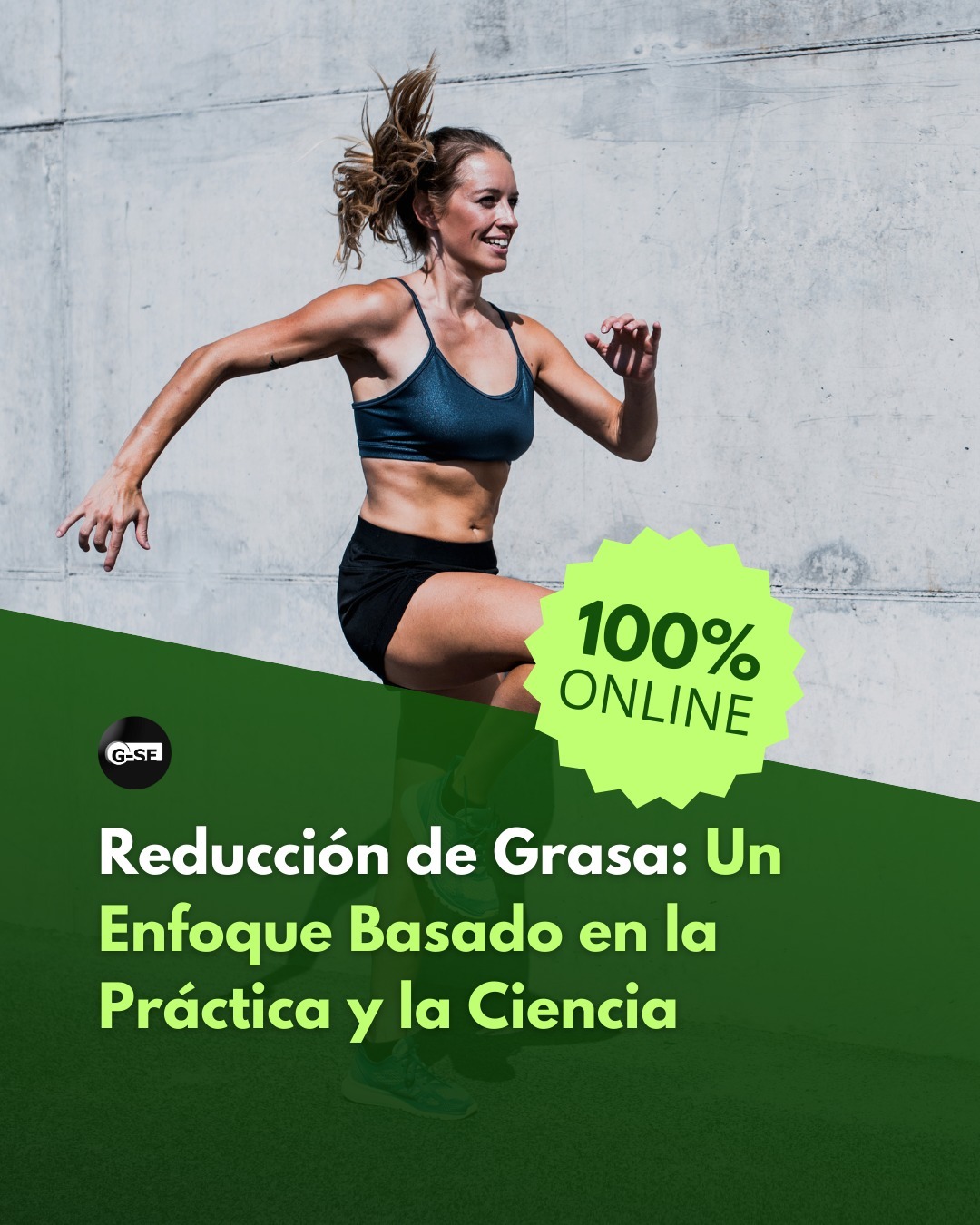 Imagen del Curso 3